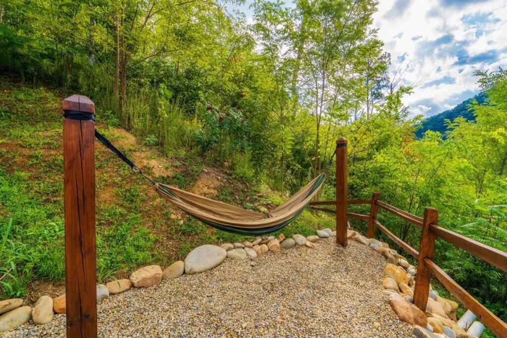 Roaring Fork Lodge 蓋特林堡 外观 照片
